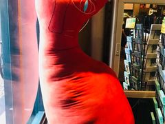 -猫咪博物馆(顶澳仔猫街店)