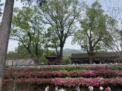 -红螺寺