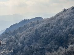 -浙西天池景区