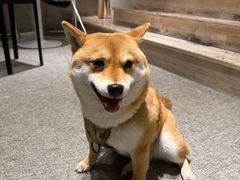 -mYSTEPS健身运动馆(古北店)