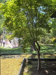 -禧园Joyous Garden ·宴会厅(禧园店)