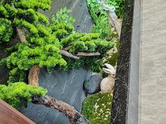 -俏东方·海味水饺·青岛菜(崂山店)