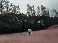 -嘉北郊野公园