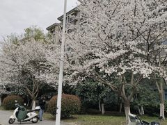 -江南大学(蠡湖校区)