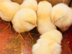 -兴芮温泉度假区