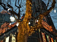 -梅龙镇酒家(南京西路总店)