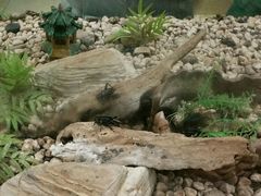 -上海昆虫博物馆