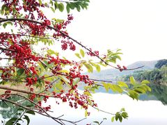 -凤岗南门山森林公园