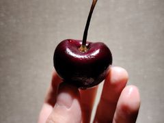 -菜园坝水果市场