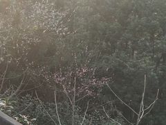 -峙山公园