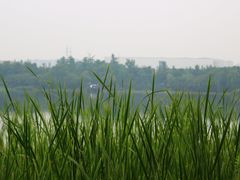 -四川大学(江安校区)