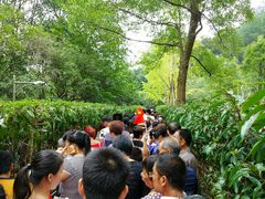 景点-韶山毛泽东同志故居