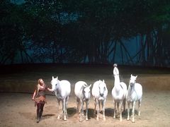 -cavalia·舞马