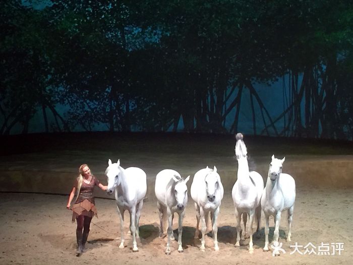 cavalia·舞马图片