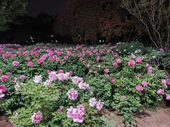 -洛阳市隋唐城遗址植物园