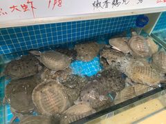 水产区-元银甲·湖北地标美食(汉阳店)
