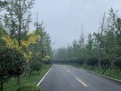 -黄陂区野村谷景区