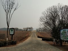 -北京张裕爱斐堡酒庄