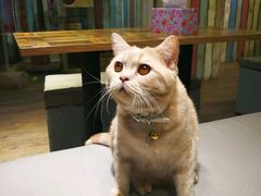 -小时光咖啡馆(开森度假森林店)