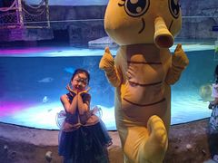 -沈阳海洋探索中心