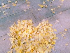 -两江幸福广场