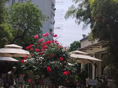 -老洋房花园饭店(绍兴路店)