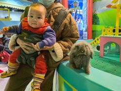 -酷嗒动物文化乐园(cutezoo西溪乐天城店)