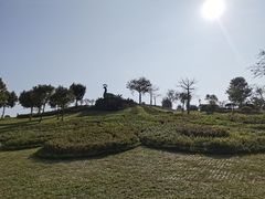 -东莞植物园