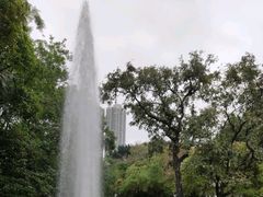 -九龙公园