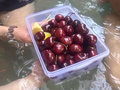 -三江森林温泉度假区