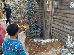 -HERRE·FARM 赫尔露营农场·团建聚会包场