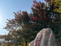 -香山公园