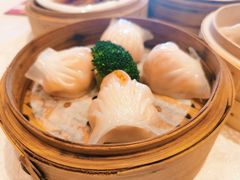 -新世纪大酒楼·30年南海菜