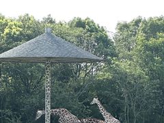 -宁波野生动物园