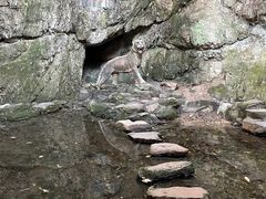 -虎跑公园