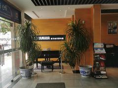 -海音琴行雅马哈钢琴·海伦·施特劳斯(金沙店)