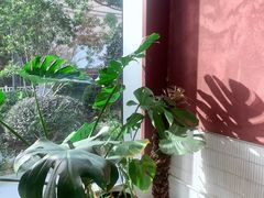 -Toris(LuOne凯德晶萃广场店)