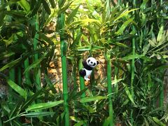 -川西坝子(老军营店)