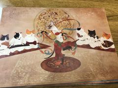 -滚猫咖啡·猫咖·猫友好撸猫(未来城店)