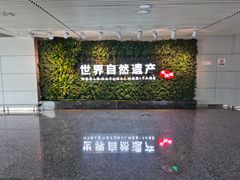 -张家界荷花国际机场