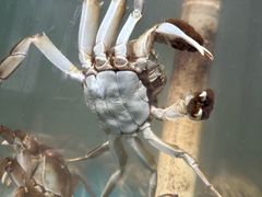 -乡乐园蟹庄·阳澄湖农家乐