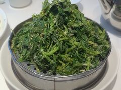 -金春禧(英雄山路旗舰店)