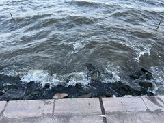 -东钱湖旅游度假区