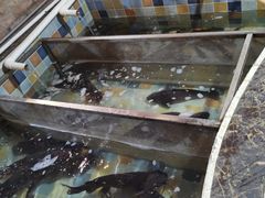 -缘福乡村铁锅炖民宿(八达岭店)