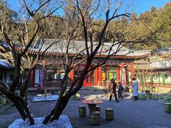 -宫事颐庭·老佛爷贵寿下午茶(颐和园店)