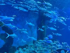 -多彩贵州城极地海洋世界