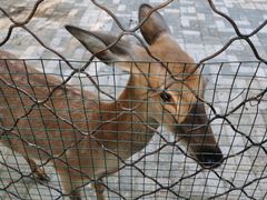 -长白岛森林公园