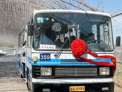 -河北村民俗体验园