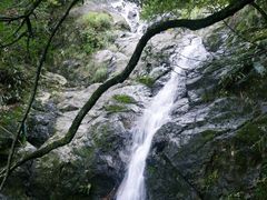 -东天目山风景区
