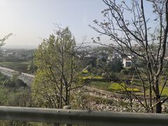 -王顺山国家森林公园